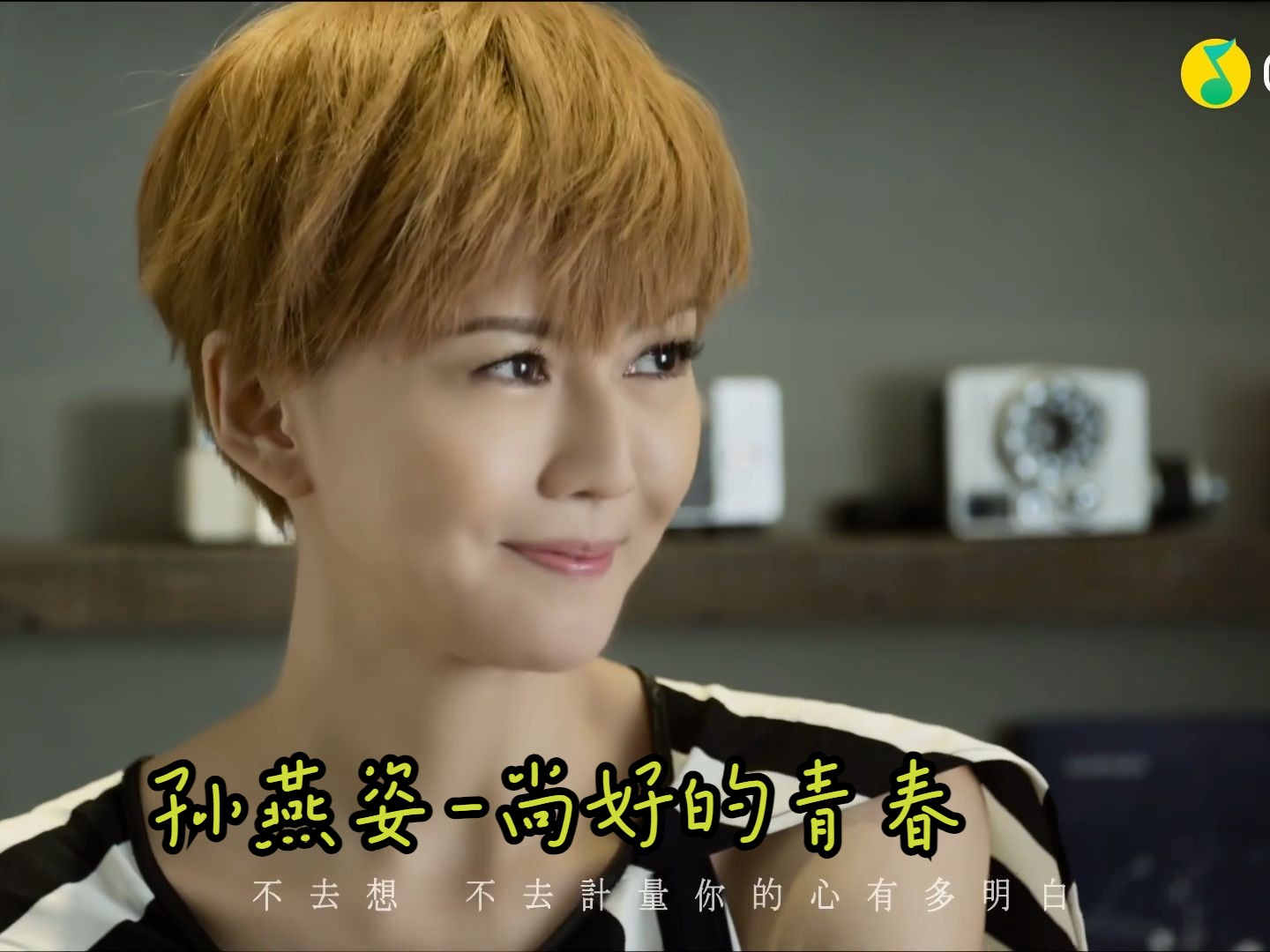 孙燕姿-尚好的青春(蓝光mv)