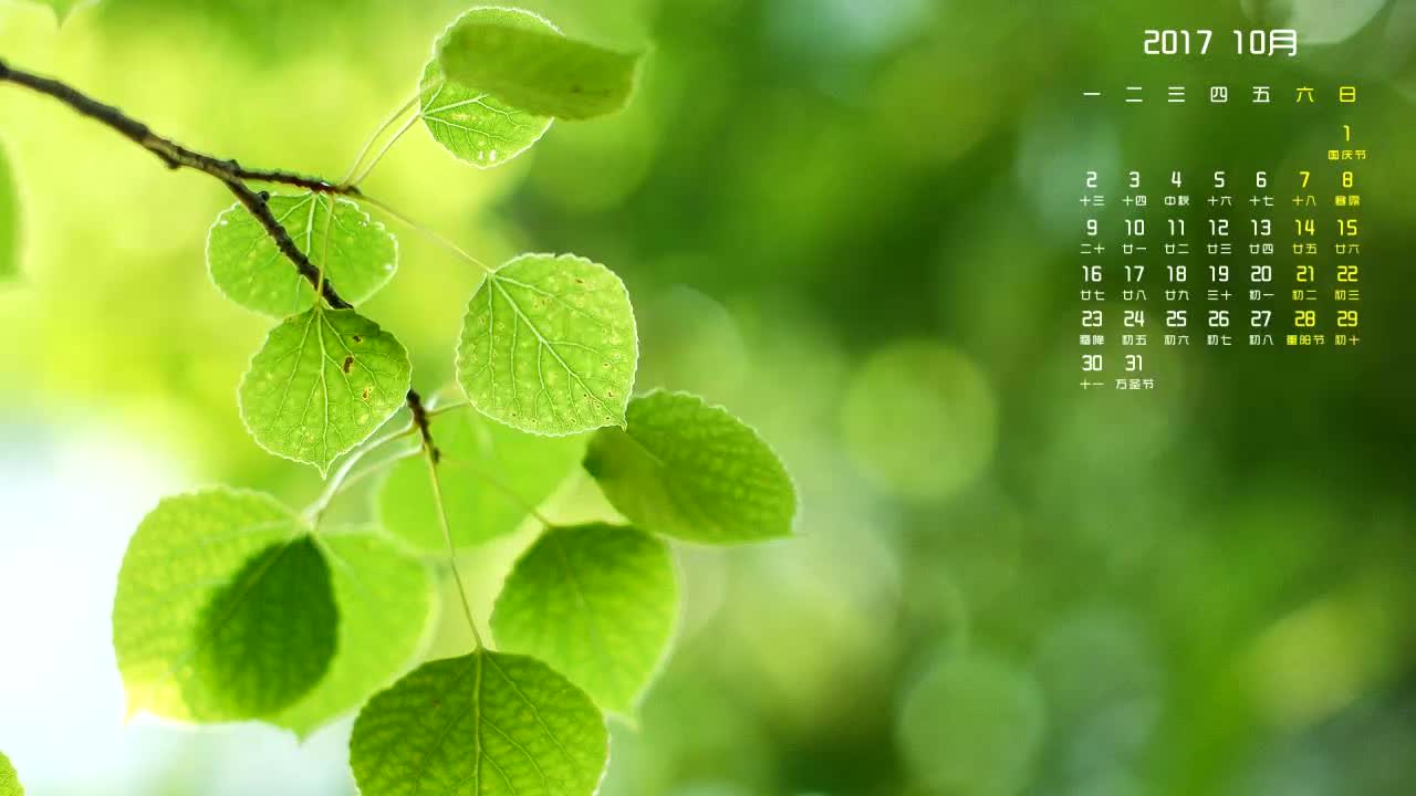 背景 壁纸 绿色 绿叶 树叶 植物 桌面 1280_720