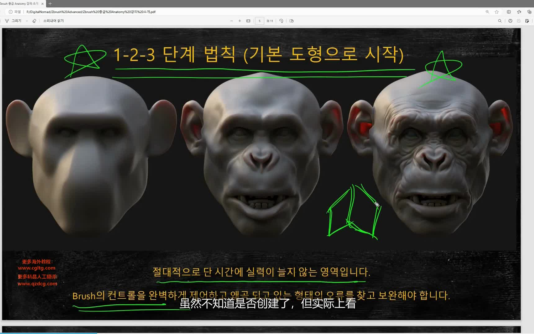 【社区免费】韩国CGBumpZbrush男性解剖和雕刻哔哩哔哩bilibili