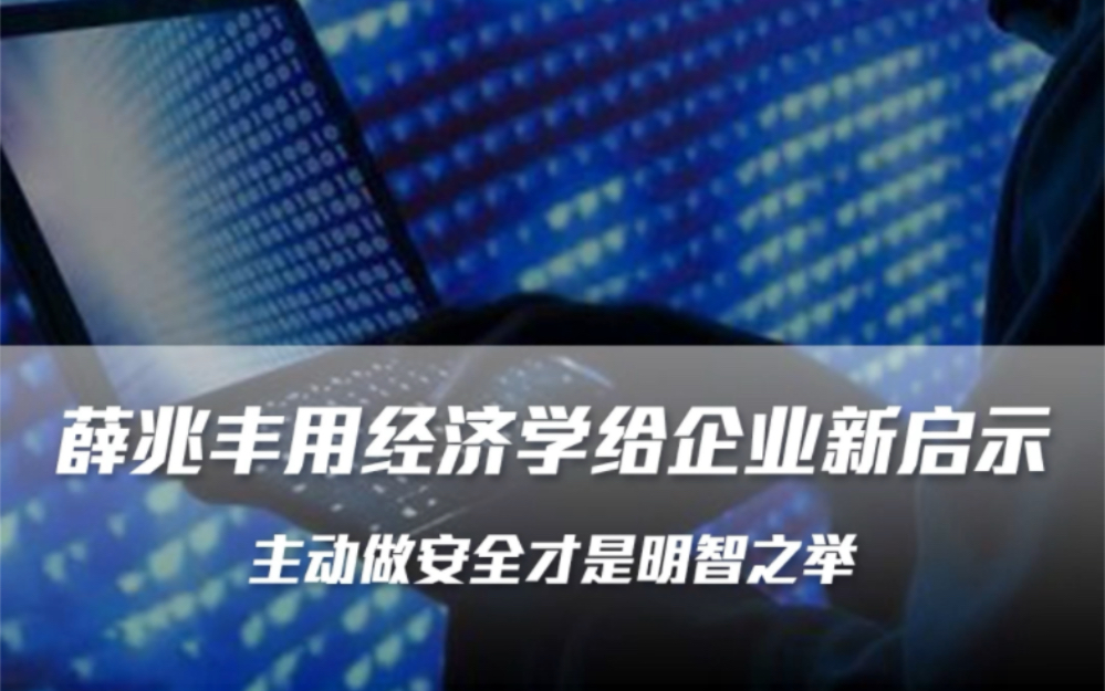 薛兆丰用经济学给企业新启示,主动做安全才是明智之举哔哩哔哩bilibili