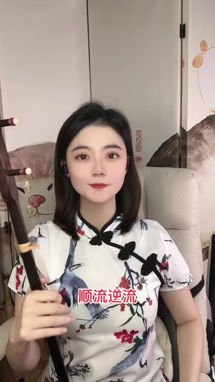 二胡民族乐器经典老歌顺流逆流