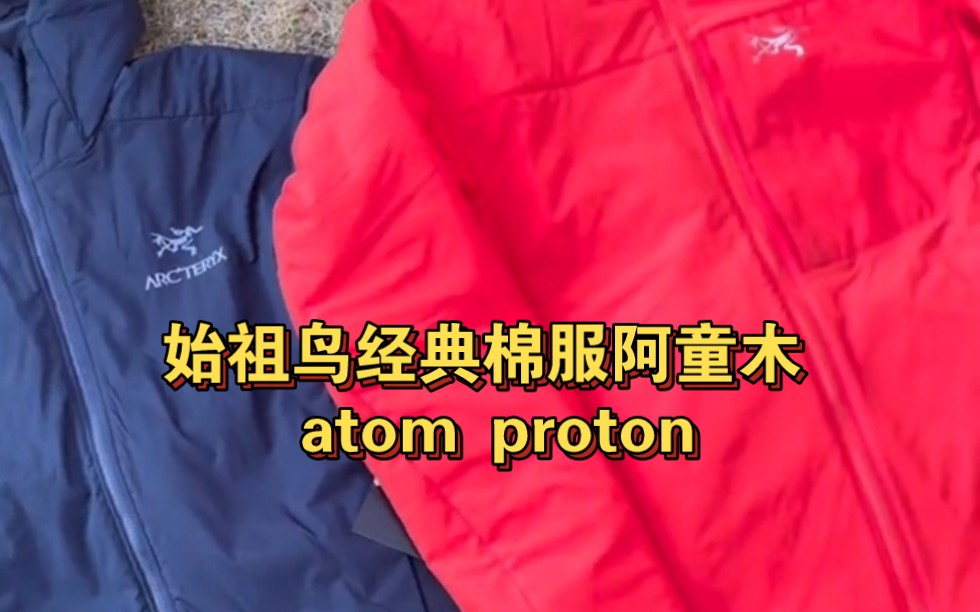 始祖鸟经典棉服阿童木 atom proton哔哩哔哩bilibili