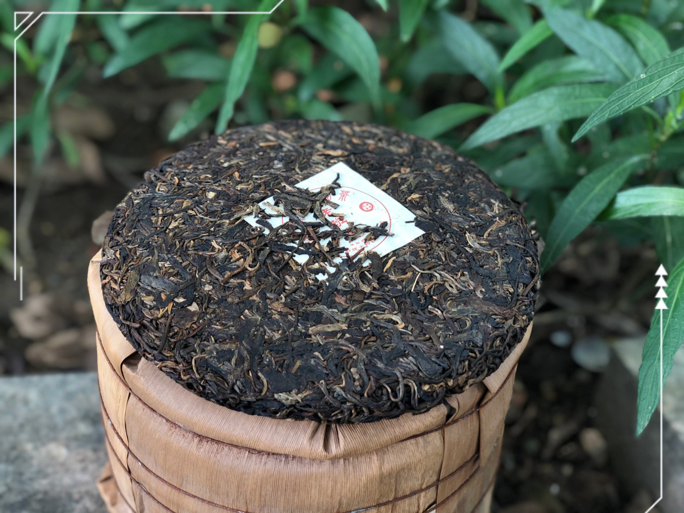 2006年 乌金号 老班章茶汤入口有一阵舒适的兰香气息,清甜爽口,饼茶面