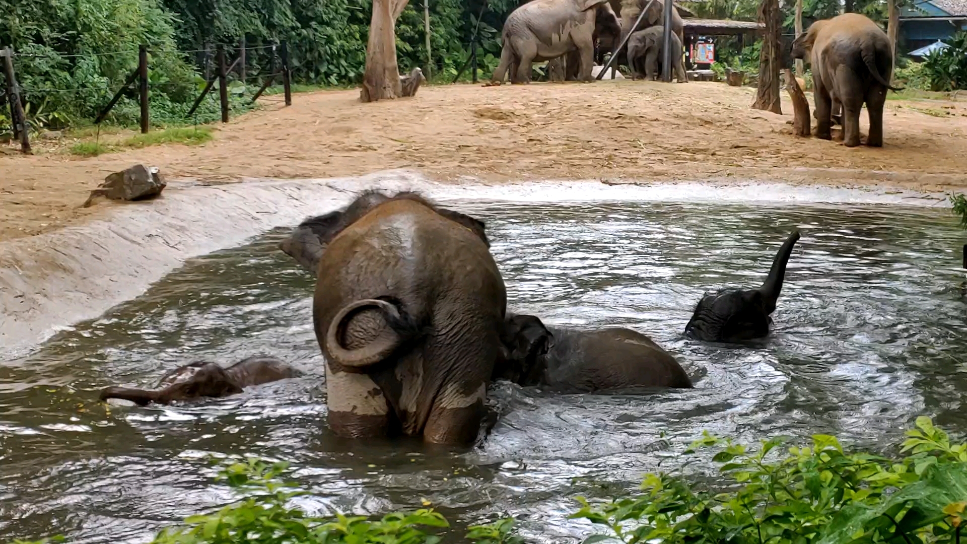 水下迷踪图片