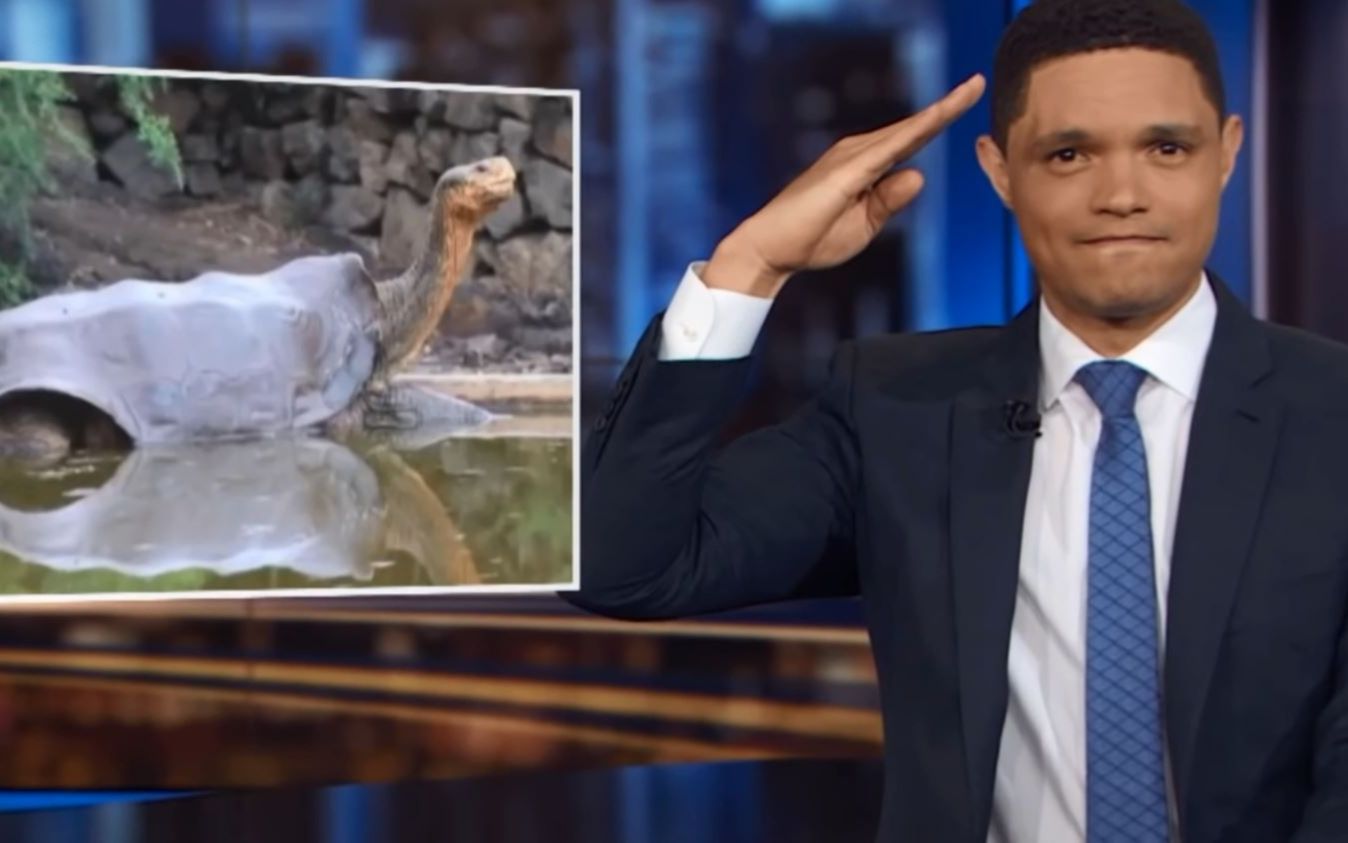 告老还乡的象龟英雄|trevor noah-daily show崔娃每日秀