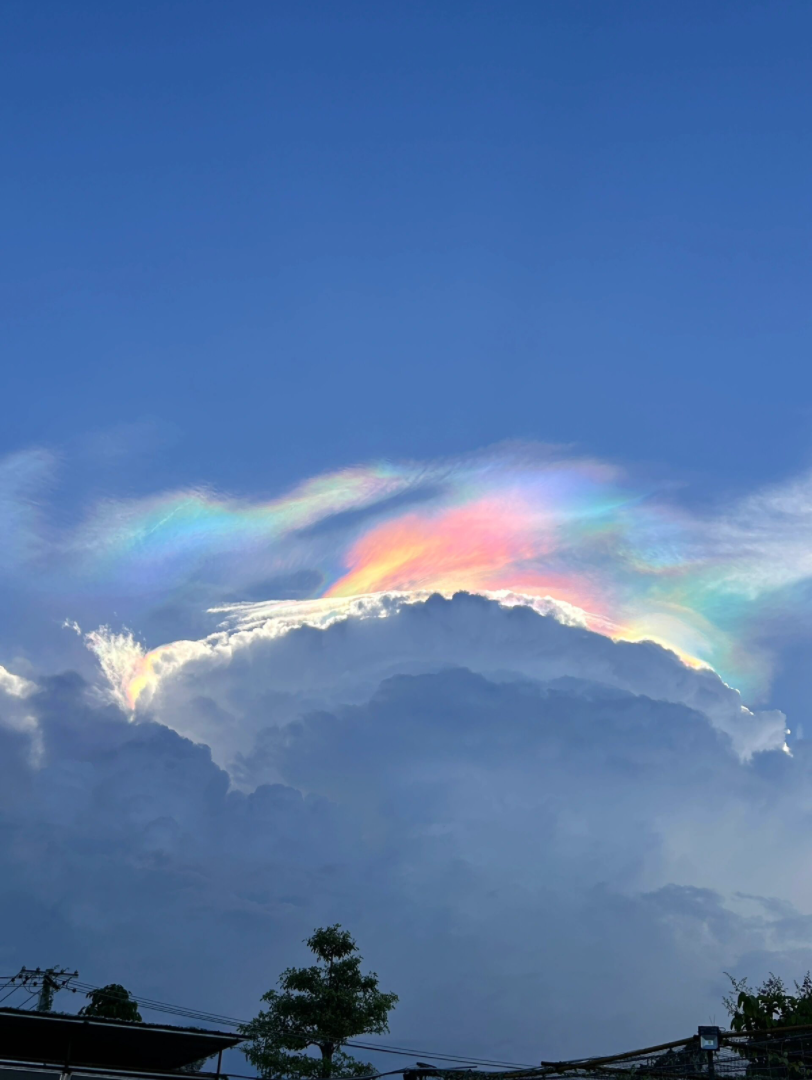 浪漫云朵收藏家7815