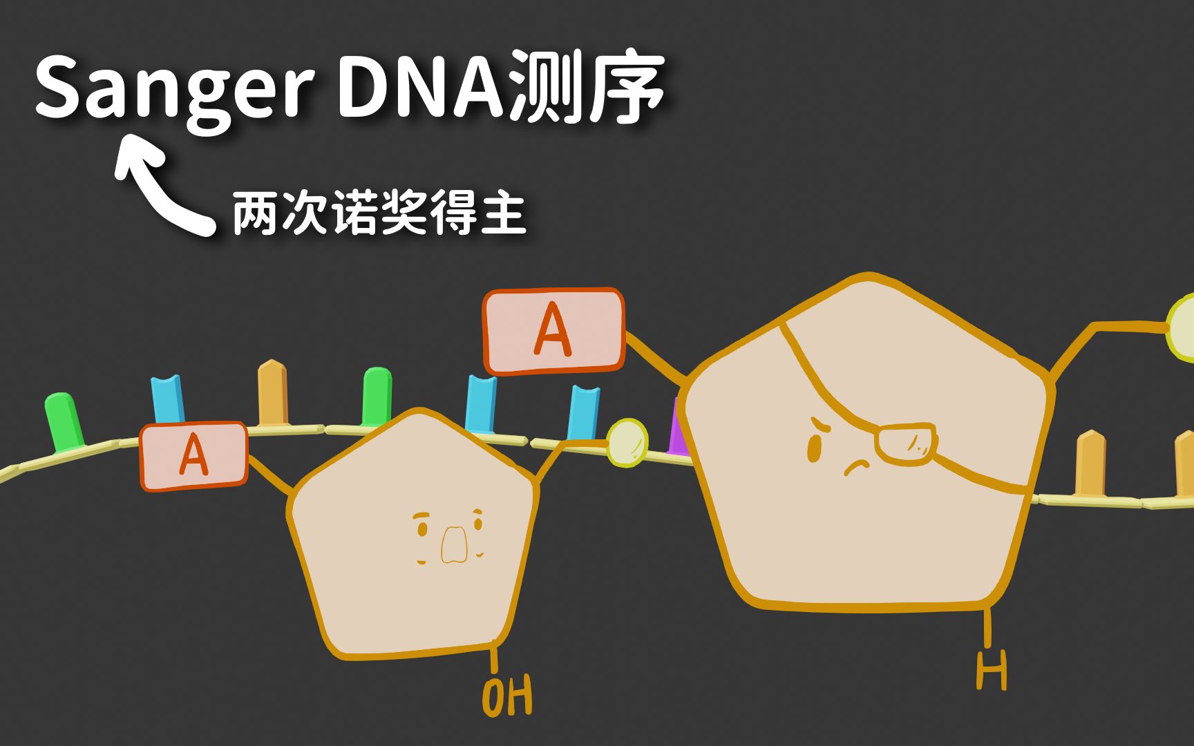 【DNA测序】一种巧妙的逆向思维(话说,天天动DNA的要不要测一下QAQ)哔哩哔哩bilibili