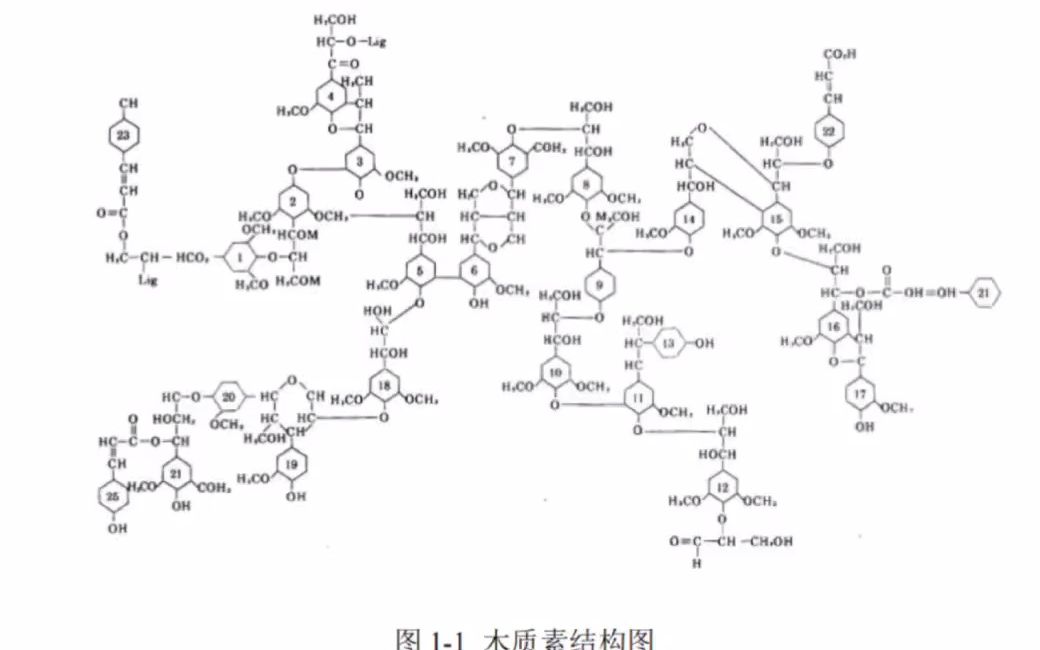 有机溶剂木质素哔哩哔哩bilibili