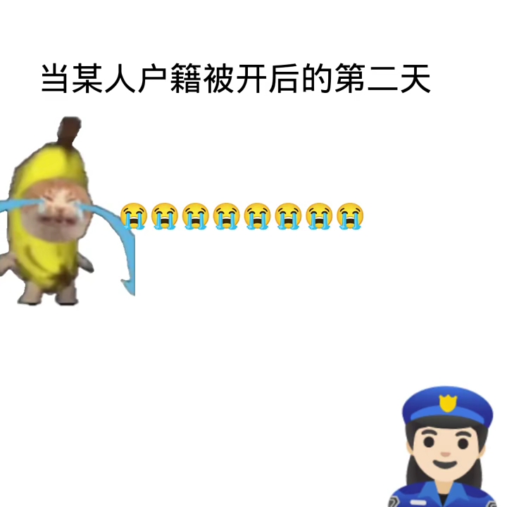 我被开了户籍后的第二天哔哩哔哩bilibili