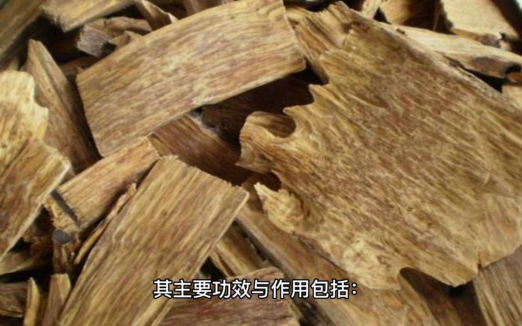 中药沉香曲功效与作用(沉香曲:祛风祛湿,舒缓身心)