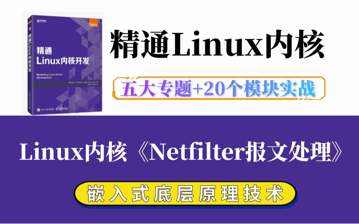 [图]【深入理解Linux内核】Linux内核《Netfilter报文处理》|内存调优/文件系统/进程管理/设备驱动/网络协议栈