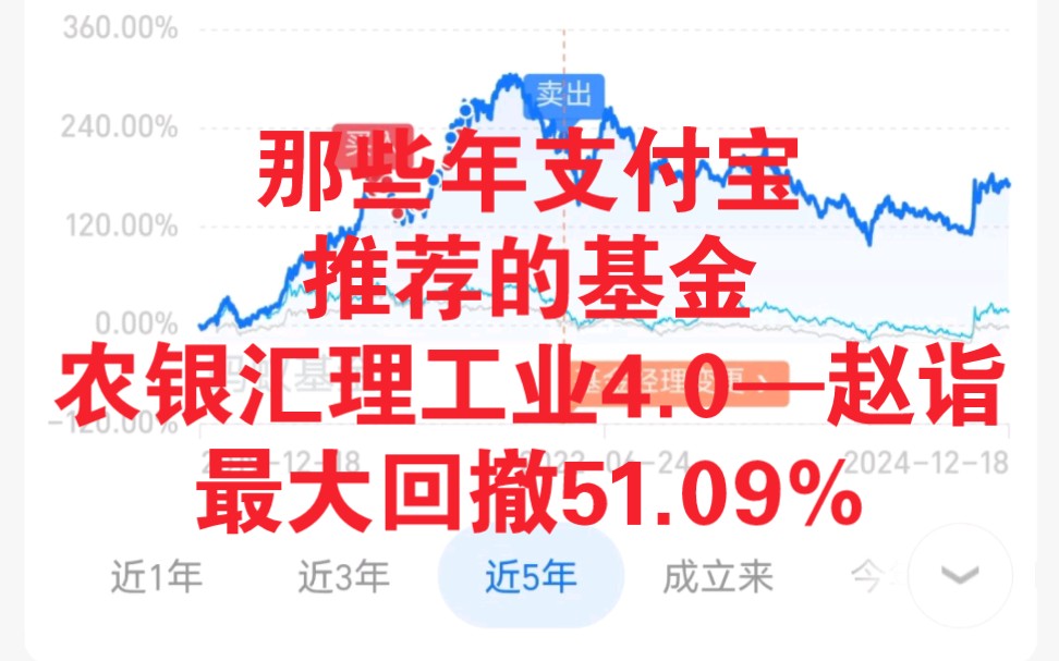 那些年支付宝推荐的基金农银汇理工业4.0—赵诣最大回撤51.09%哔哩哔哩bilibili