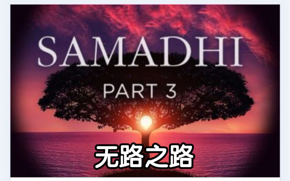 [图]【Samadhi 三摩地】第3部 | 无路之路（国语）