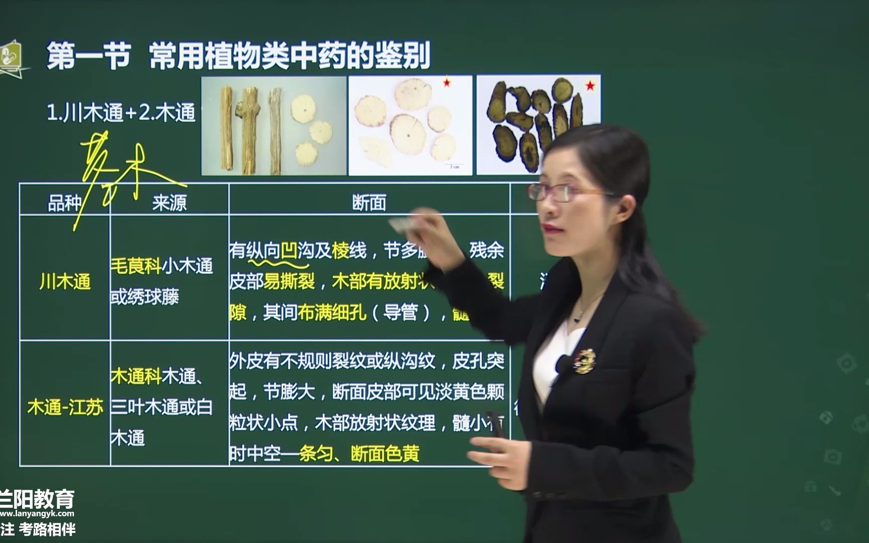 [图]53-第四章-第一节-常用植物类中药的鉴别(九)