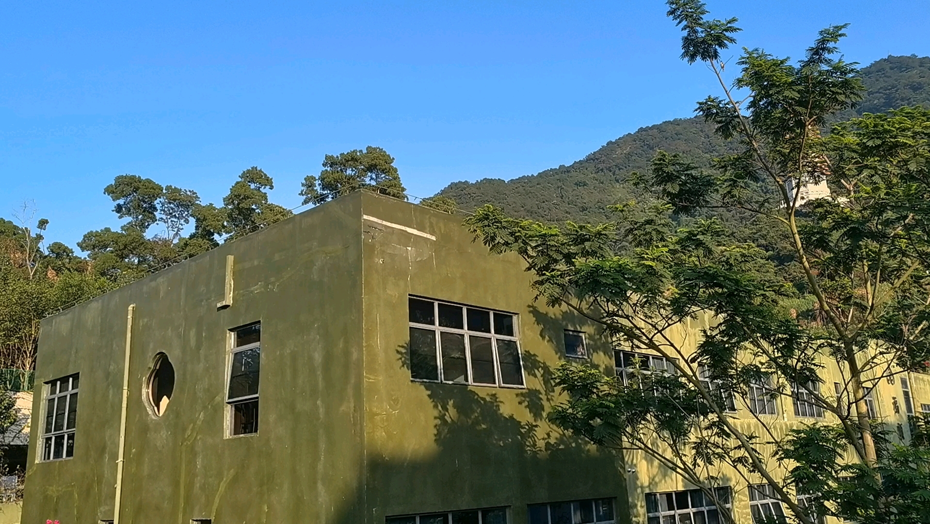 深圳仙湖植物园弘法寺后面下午风景