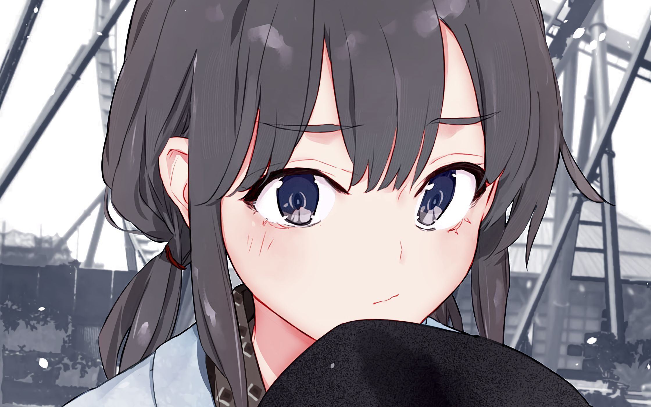 活动  八幡と雪乃