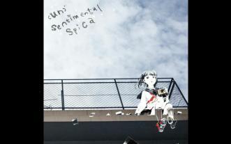 さようなら、花泥棒さん(cover) - 鎖那[Instrumental] (made by