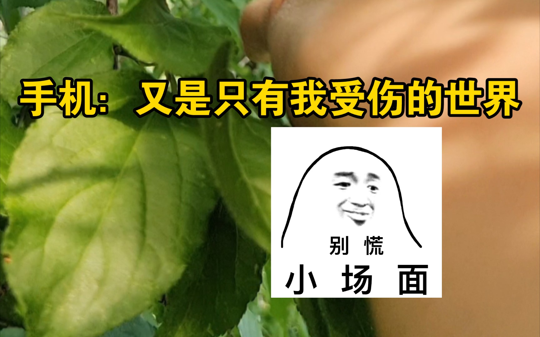 [图]手机：还好我命不该绝