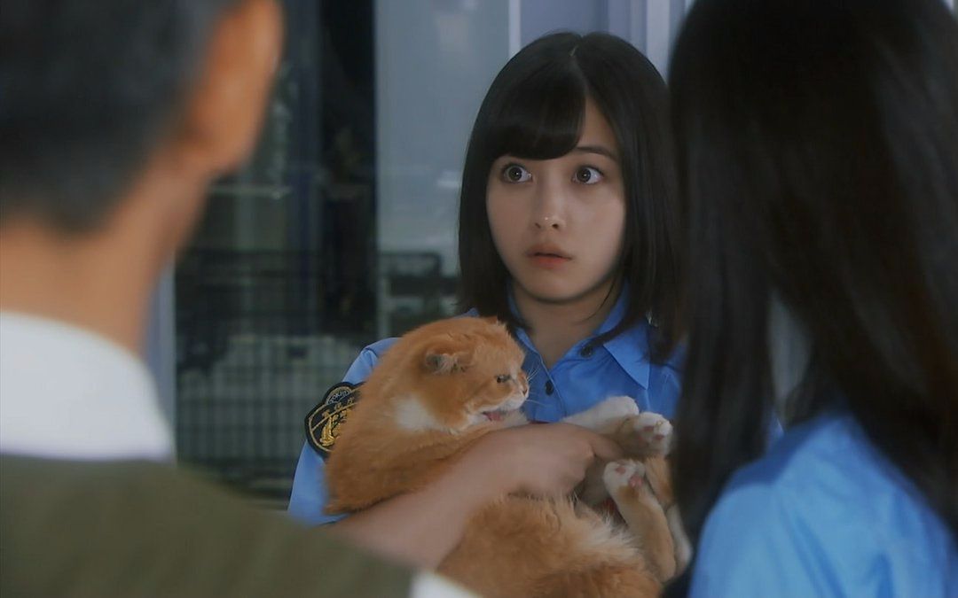 【桥本千年字幕组】「警视厅生物系」第五集预告 桥本环奈,渡部笃郎