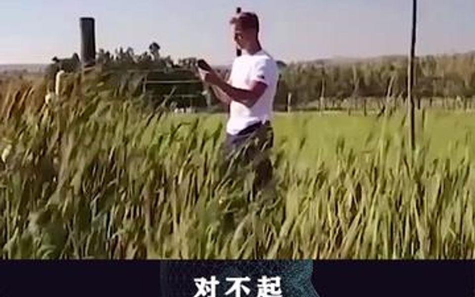 你所拨打的电话不在服务区将成为过去式?哔哩哔哩bilibili