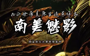 Tải video: 80公分南美原生风格造景作品