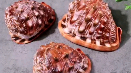 万宝螺的功效(万宝螺:神奇的抗氧化剂和美容圣品)