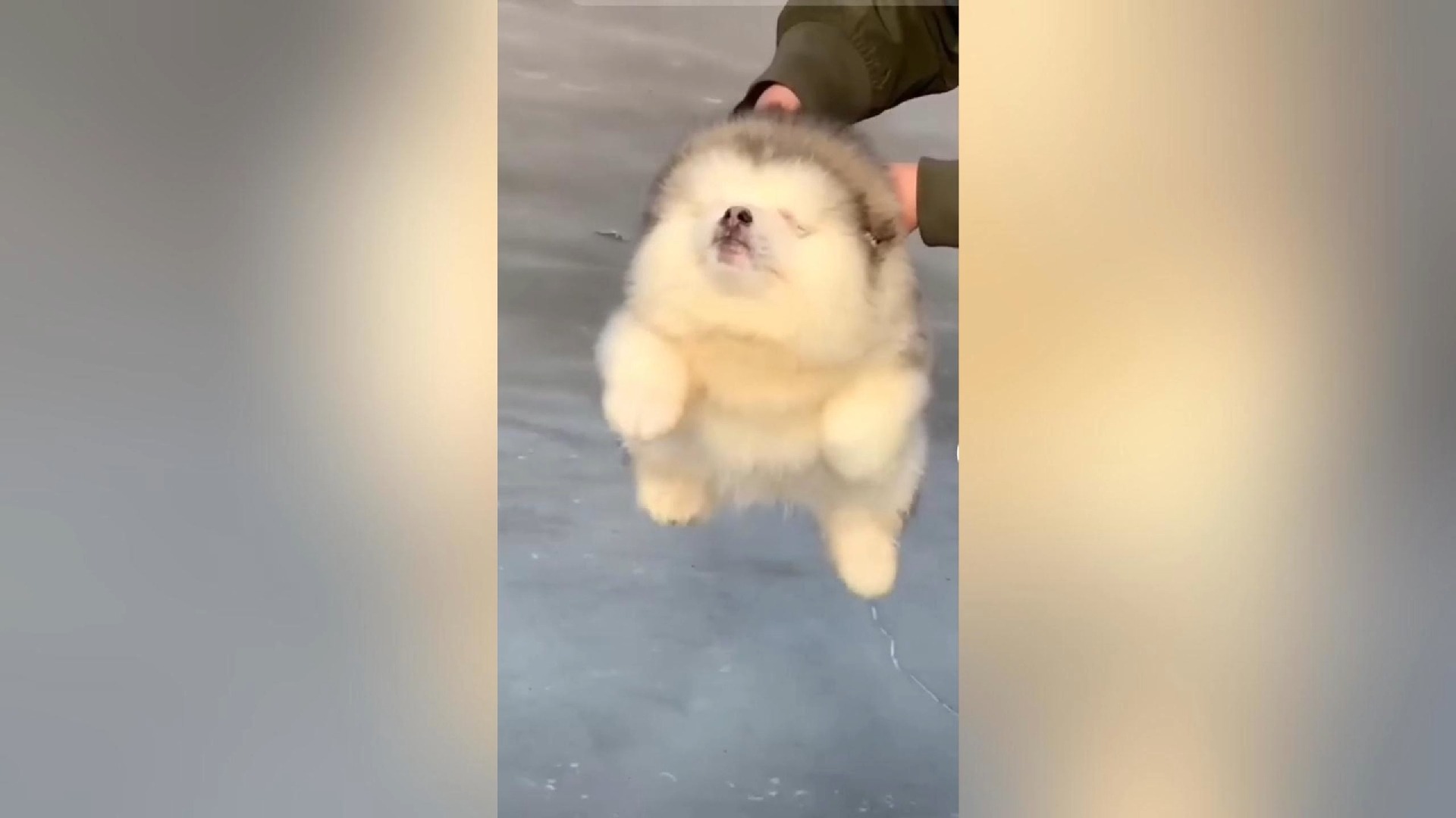 睡梦罗汉拳