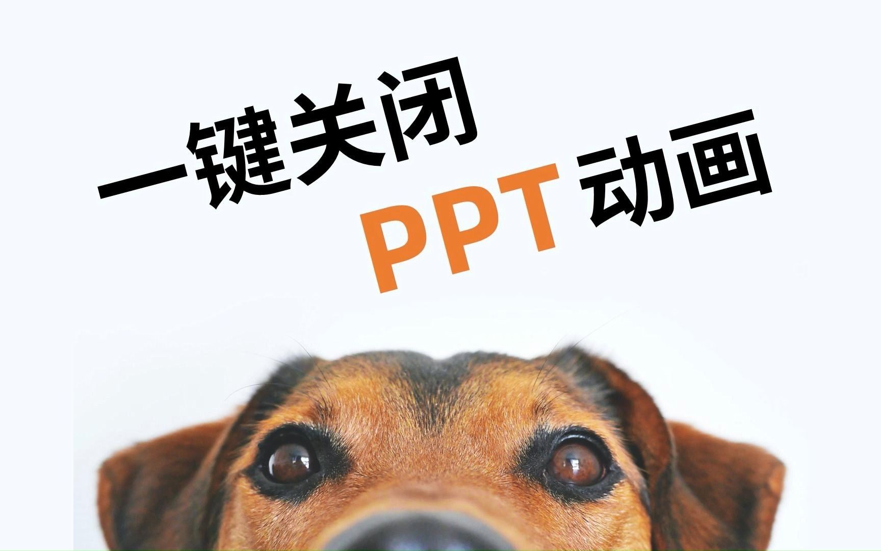 如何一键关闭PPT动画哔哩哔哩bilibili