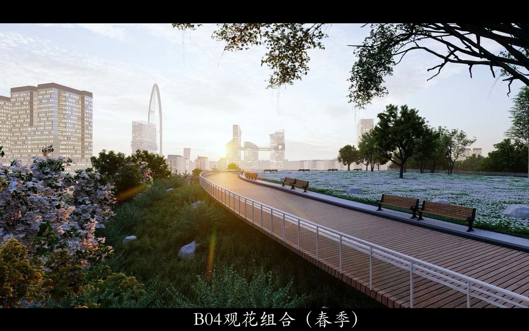 深圳市福田区安托山林相改造漫游