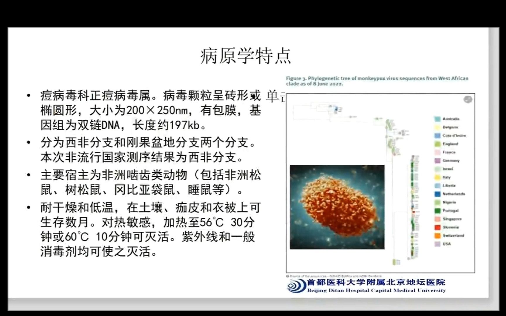 猴痘诊疗指南学习哔哩哔哩bilibili