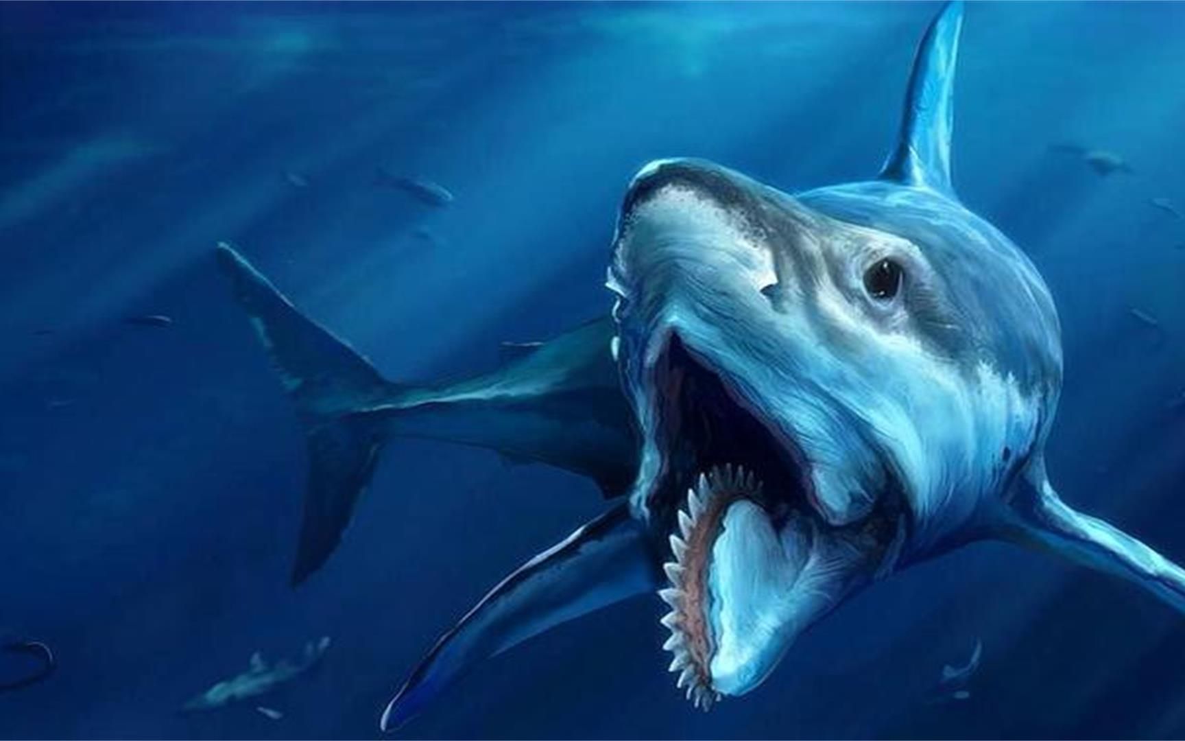最恐怖的鲨鱼照片图片
