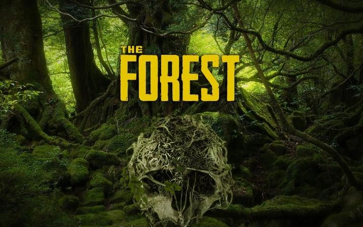 森林The forest 如何作弊哔哩哔哩bilibili