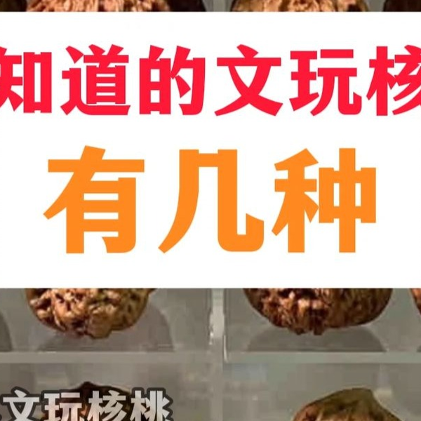 東京文玩育成】文玩核桃 野生小众 孤品