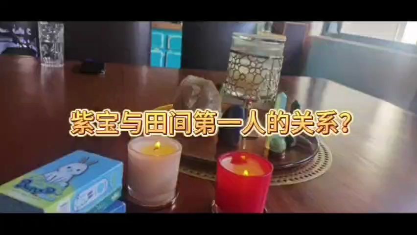 紫宝与田间第一人的关系?哔哩哔哩bilibili