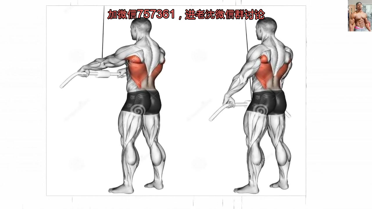 不知道这样练到哪里?没关系有图告诉你! 背部肌群训练动作合辑哔哩哔哩bilibili