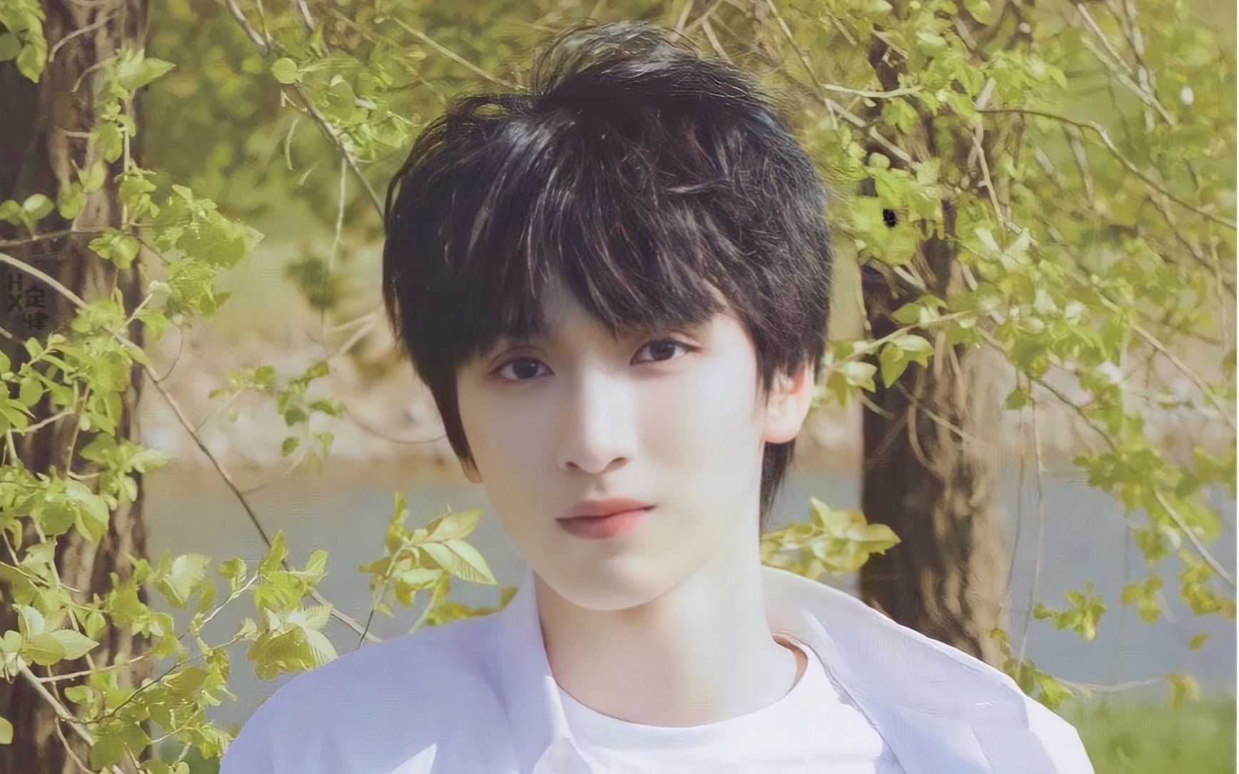 【严浩翔】"春天 太阳 花 和你"