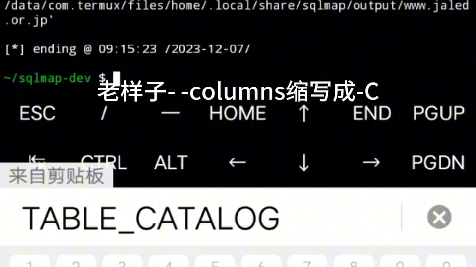 sqlmap安装以及使用教程保姆级哔哩哔哩bilibili