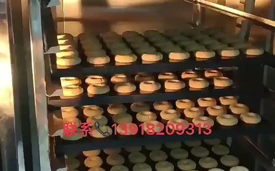 32盘不锈钢工业蛋糕烤箱 深圳合强面包烘烤设备 深圳32盘旋转炉哔哩哔哩bilibili