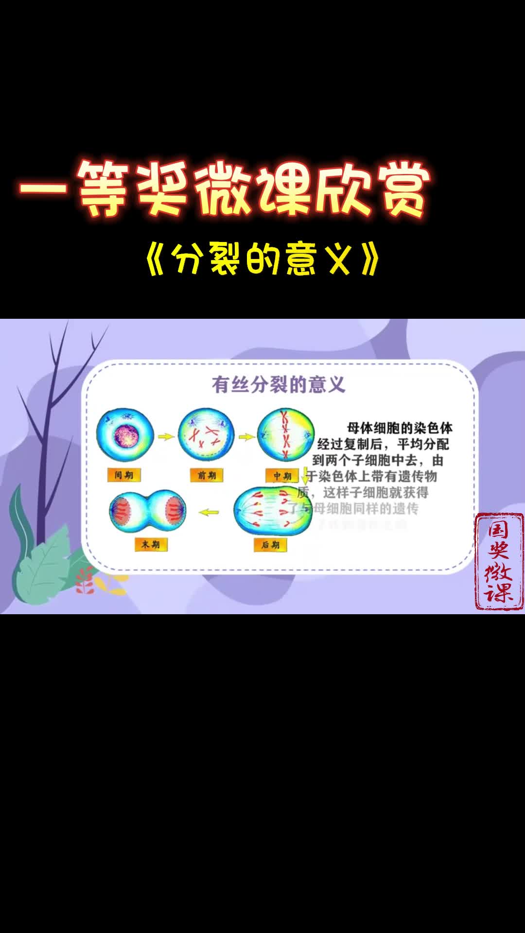 一等奖微课欣赏《分裂的意义》哔哩哔哩bilibili