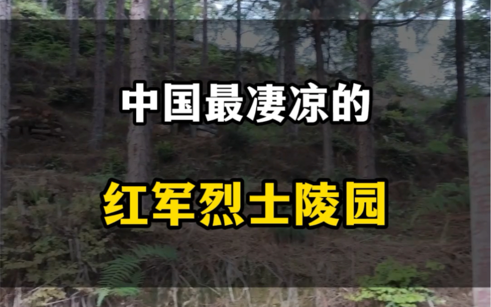 中国最凄凉的红军烈士陵园,福建武夷山无名红军墓#旅行推荐官 #文化旅游 #历史哔哩哔哩bilibili