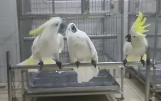 葵花巴丹 搜索结果 哔哩哔哩 Bilibili