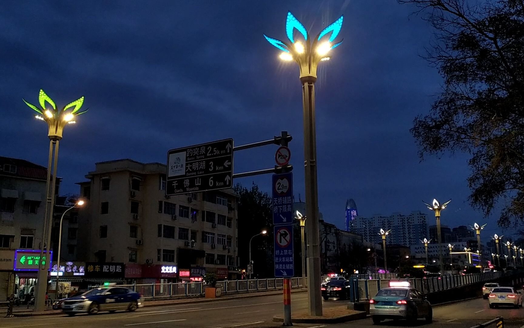 七彩渐变景观路灯-圣莲路灯-世博光电生产厂家