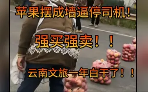 Télécharger la video: 闹大了，苹果摆出墙逼停司机强买强卖！！！云南文旅一年白干了！！