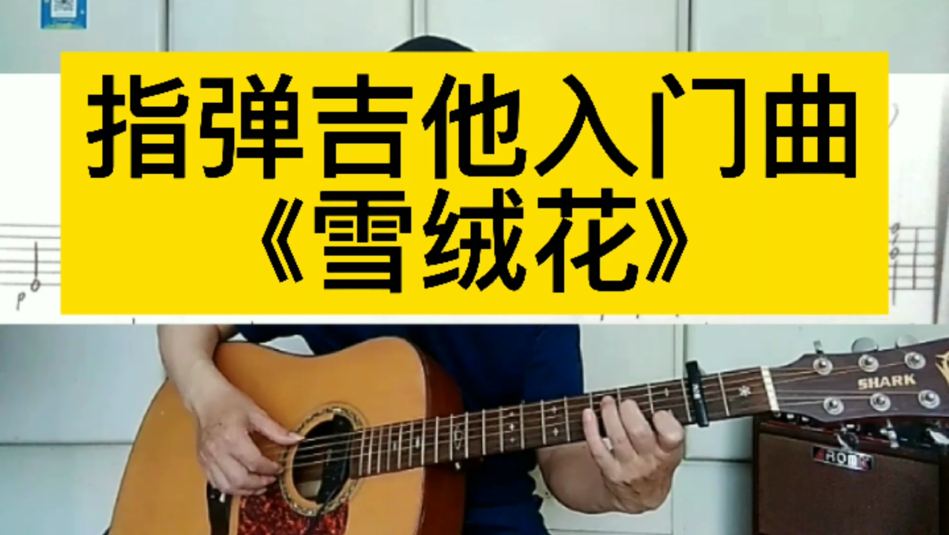 吉他独奏《雪绒花》新手入门推荐_哔哩哔哩_bilibili