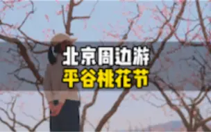 Download Video: 在北京初春的周末有多好玩，平谷是一个不错的选择。看桃花、吃美食，北京周边游。