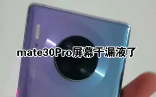 Download Video: 绝望，mate30pro屏幕漏液