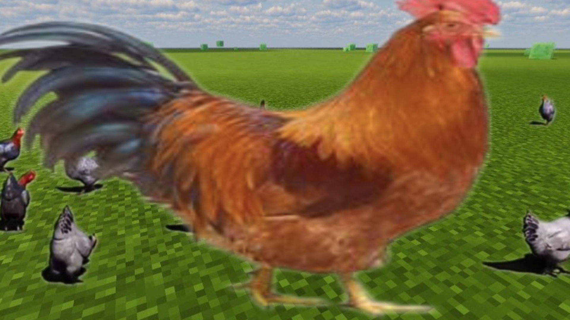 鸡在minecraft里叫