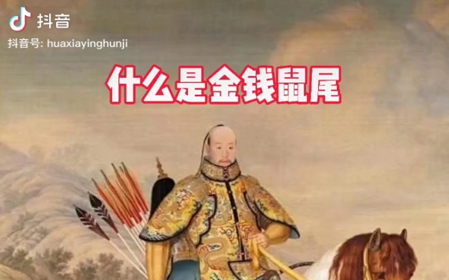 什么是金钱鼠尾?_哔哩哔哩_bilibili