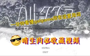 Download Video: 【闪退解决】一分钟看懂galgame所有设置