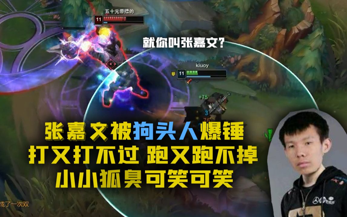 张嘉文被狗头人爆锤打不过跑不掉小小狐臭可笑可笑